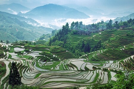 色彩-梯田-旅行-绿色-水 图片素材