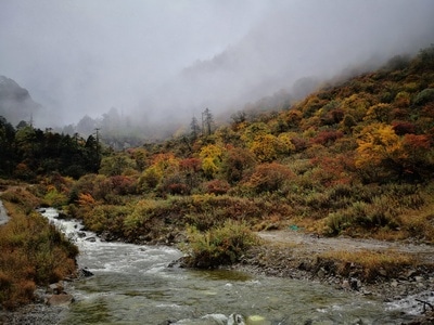 生态-风光-旅行-独龙江-风景 图片素材