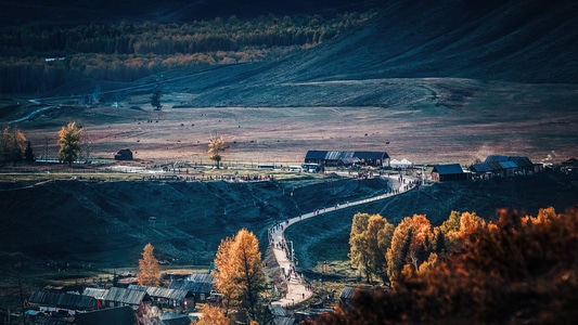 风光-北疆-红叶-秋色-风景 图片素材