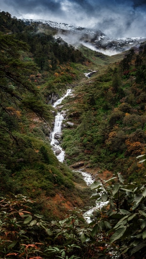 我的2019-旅行-自驾游-滇西北-高黎贡山 图片素材