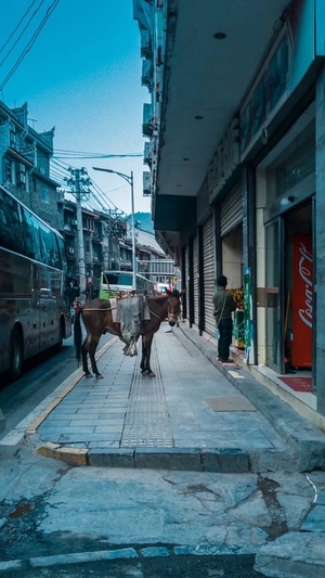 旅行-手机摄影-街拍-人文摄影-凤凰县城 图片素材