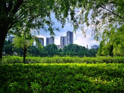 色彩-旅行-手机摄影-街拍-风光摄影 图片素材