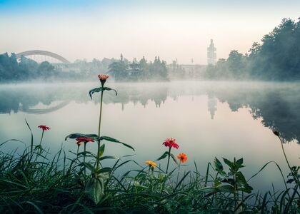 湖面-植物-倒影-贵阳-观山湖公园 图片素材