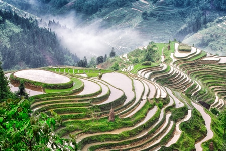 水-绿色-梯田-旅行-自然 图片素材