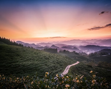 贵阳-百花湖畔-茶园-旅行-风景 图片素材