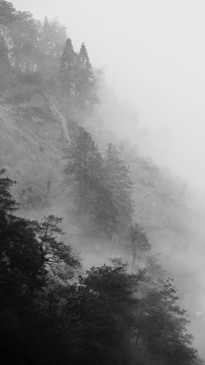 旅行-风光-雾-迷雾-山中迷雾 图片素材