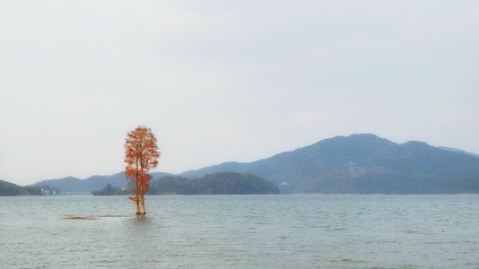 手机摄影-秋-风光-四明湖-湖面 图片素材