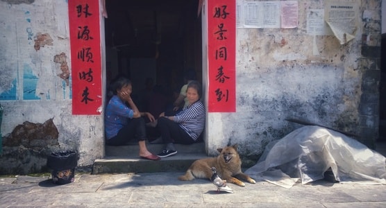 纪实-人文-手机摄影-老人-女性 图片素材