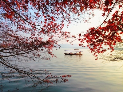 手机摄影-杭州-风光-西湖-风景 图片素材