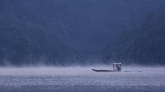 手机摄影-风光-像素蜜蜂官方账号-通济湖-湖 图片素材