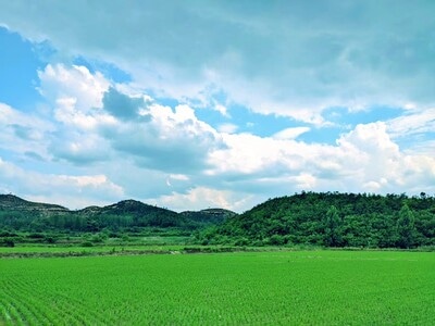 手机摄影-最好的我们-你好2020-平凡的世界-风景 图片素材