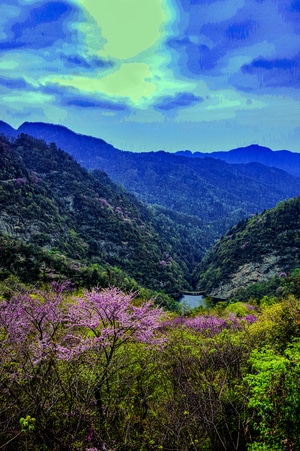 桃花-旅拍-春天-武汉-全景照片 图片素材