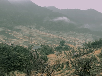 光影高新青春赋能-油菜花-春天-婺源-成都 图片素材