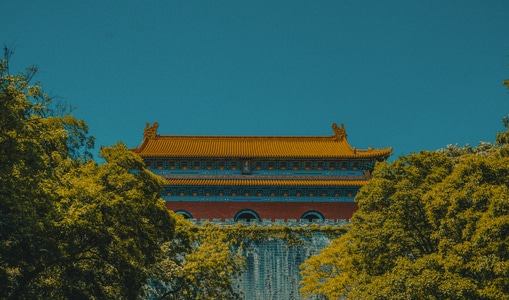 五一小长假-旅行-旅拍-胶片-春天 图片素材