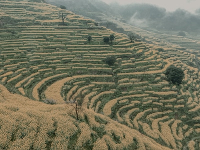 城市天际线-江南-乡村-梯田-自然风光 图片素材