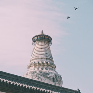 旅行-白塔寺-宗教-寺庙-佛教 图片素材