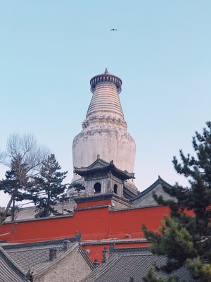 旅行-白塔寺-宗教-寺庙-佛教 图片素材