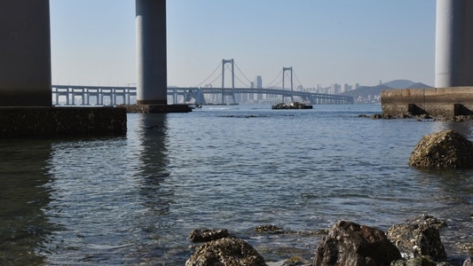 光影-线条-桥-大连星海湾大桥-滨海湾大桥 图片素材