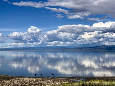 埃塞俄比亚-抓拍-风景-风光-纳特龙湖畔 图片素材