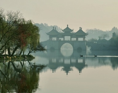 风光-江南水乡-游弋-水-水面 图片素材