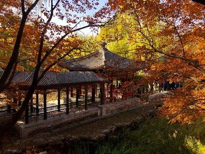 秋色2-风光-建筑-走廊-走道 图片素材