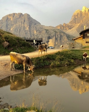 旅拍-多洛米蒂-风景-山-山脉 图片素材