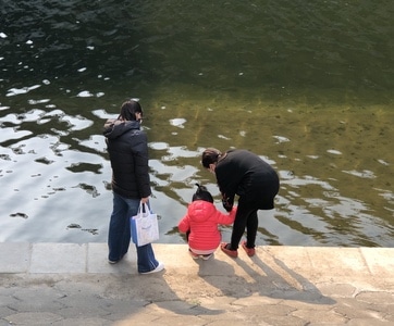 街拍-河边-女性-女人-背影 图片素材