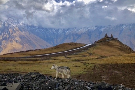 卡兹别克-旅拍-风光-风景-自然 图片素材