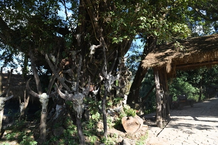 沧源佤族自治县-云南-我的2019-佤族-旅行 图片素材