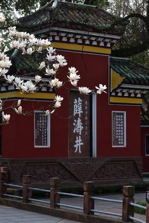 风景-城市地标-季节-花鸟-薛涛井 图片素材