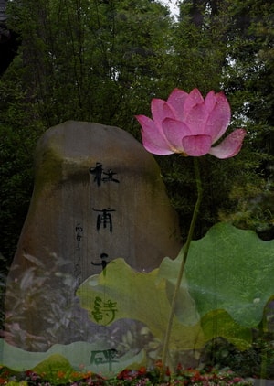 风光-自然-季节-2019inf招募-杜甫千诗碑 图片素材