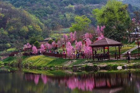 生态-自然-季节-乡村-乡村 图片素材