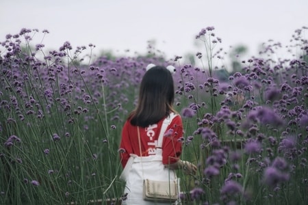 人像写真-生活-花朵-花季-植物 图片素材