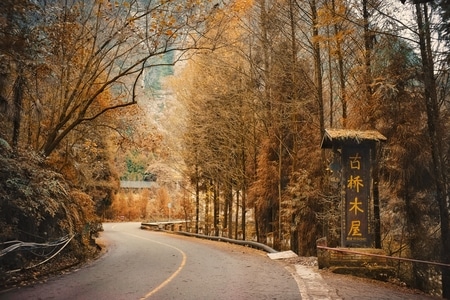 我的2019-一镜知秋-秋色-风景-植物 图片素材