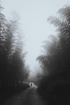 风景-雾-山峦-旅行-邵阳 图片素材