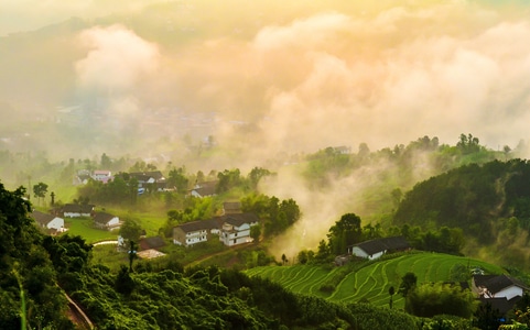 自然-风光-晨雾-山村-梯田 图片素材