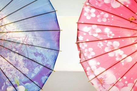 伞-日式-和风-日本-樱花 图片素材