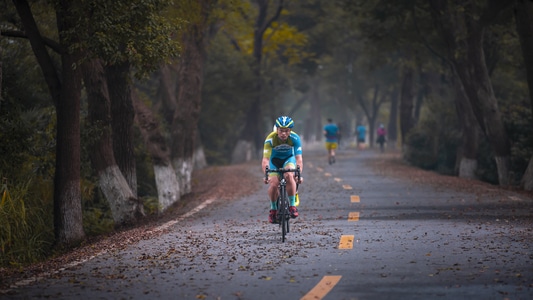 风景-秋天-自行车-独轮车-骑车人 图片素材