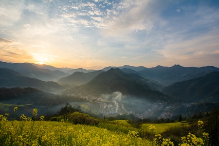 旅行-春色-油菜花-风光-春 图片素材