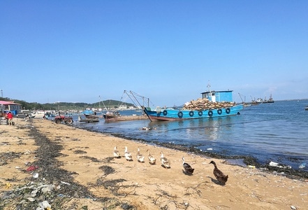 哈仙岛-景区-街拍旅游-风景-海滩 图片素材