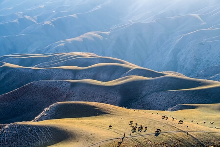喀拉峻-新疆-景区-旅游-自然 图片素材