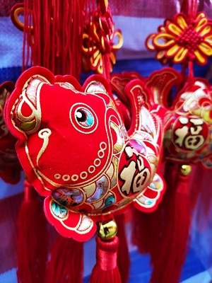 你好2020-手机摄影-生活-纪实-挂饰 图片素材