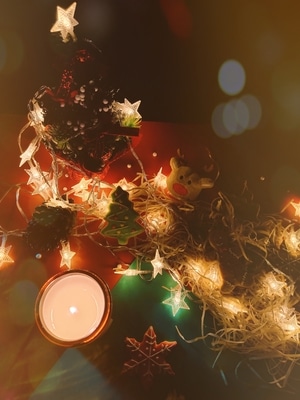 我的2019-手机摄影-静物-夜景-圣诞树 图片素材