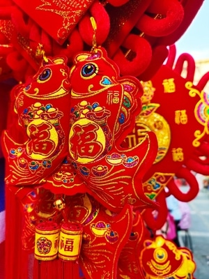 你好2020-手机摄影-生活-纪实-挂饰 图片素材