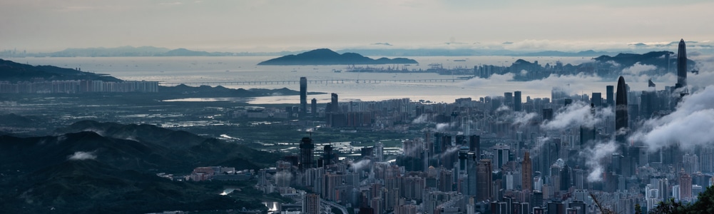 风光-人文景观-嘎努鳥-深圳湾-深圳 图片素材