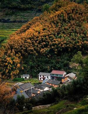 风光-旅行-乡村-古村落-风景 图片素材