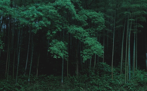风景-色彩-后期-质感-复古 图片素材