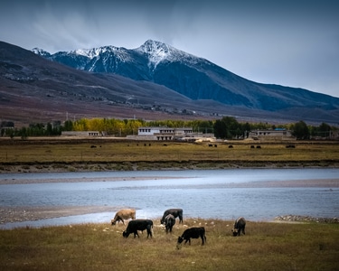 旅游-风光-旅行-自然-川西 图片素材