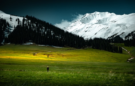 生态-高原-旅游-新疆-风光 图片素材