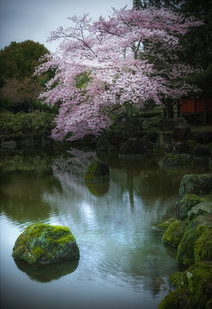 人文-生态-风景-风光-日本 图片素材